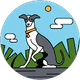 Ftmk Ftmk profil fotoğrafı