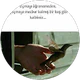 Rabia K. profil fotoğrafı
