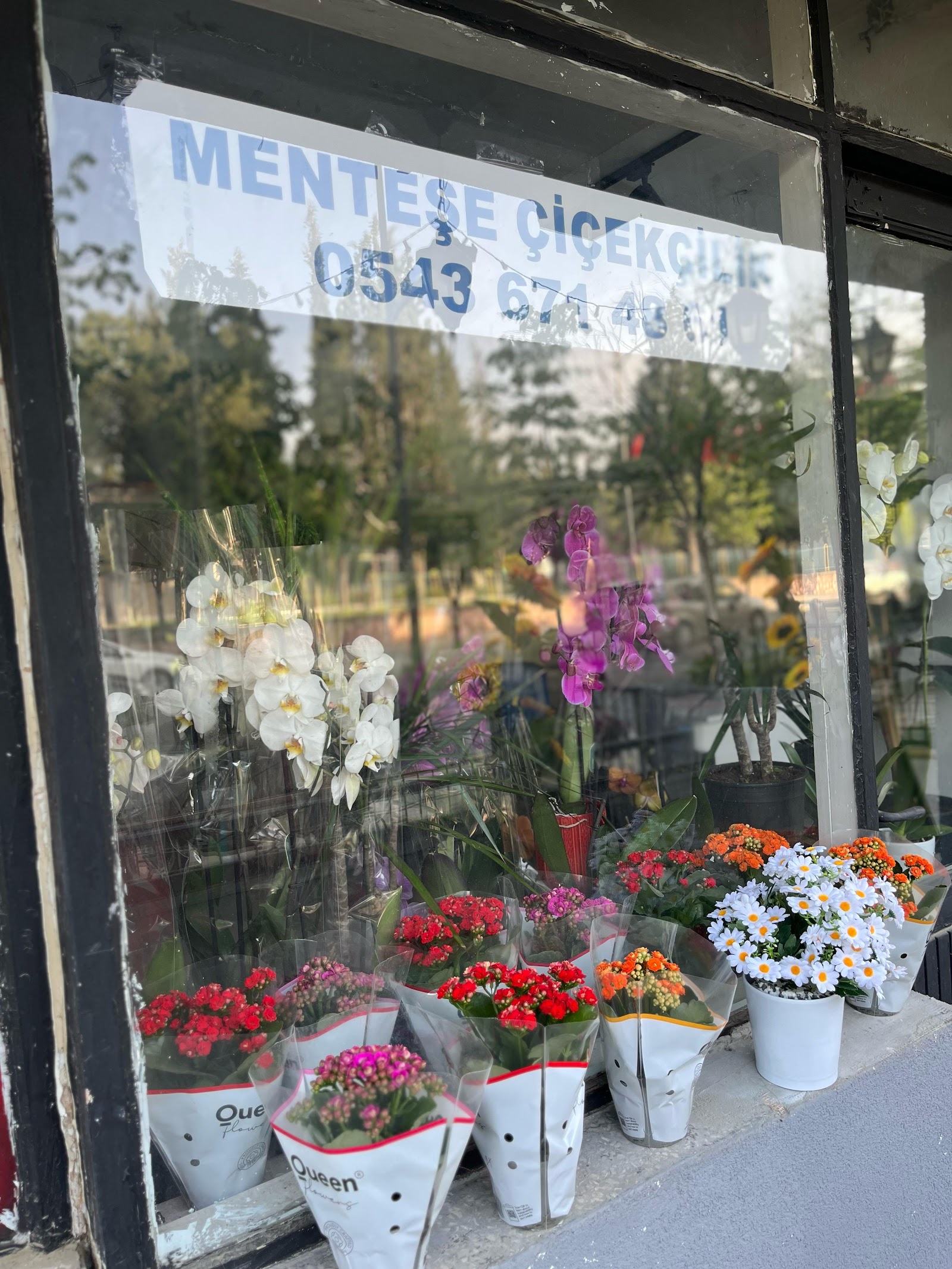 Menteşe Çiçekçi