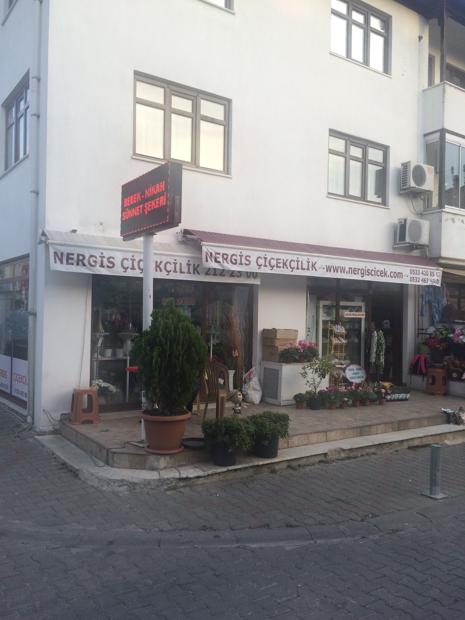 Muğla Nergis Çiçek / Çikolata kır düğünü mekanı — Menteşe
