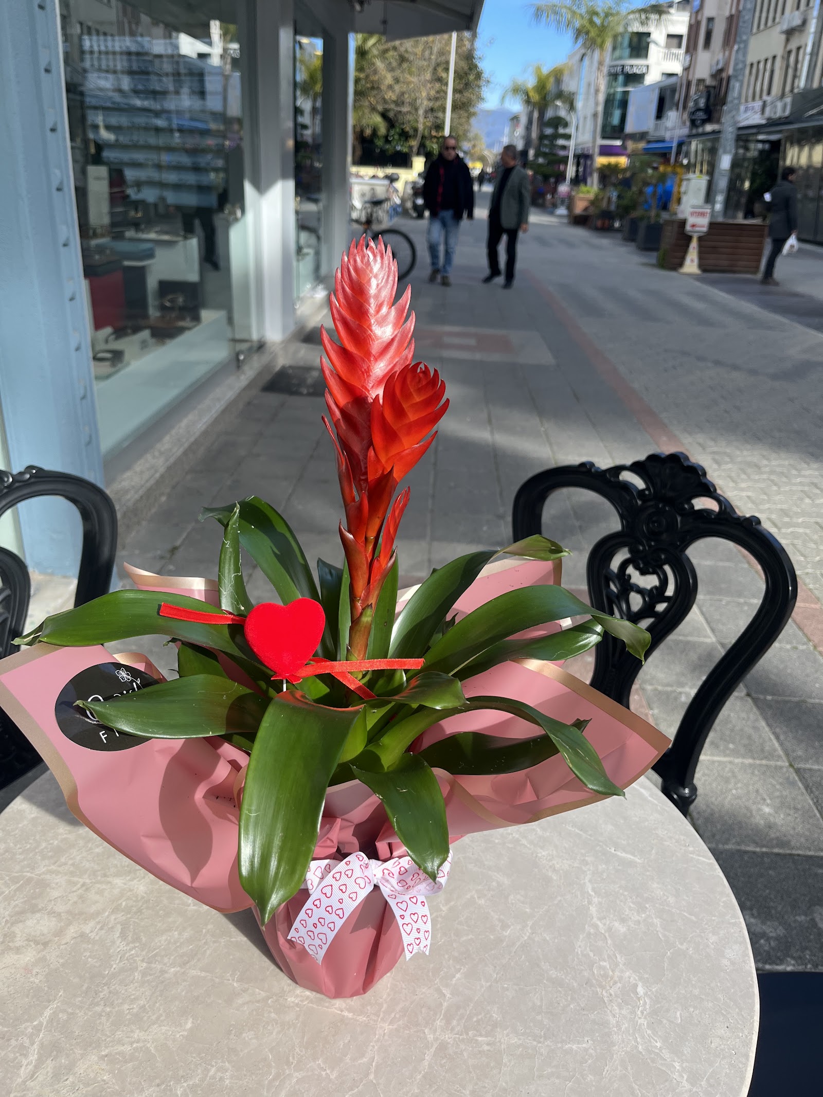 Wb Florist - Flower Shop & Wedding Planner