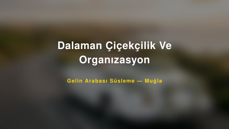 Dalaman Çiçekçilik Ve Organızasyon Gelin Arabası Süsleme Fiyatları — 1